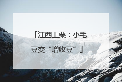 江西上栗：小毛豆变“增收豆”