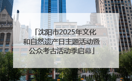 沈阳市2025年文化和自然遗产日主题活动暨公众考古活动季启幕