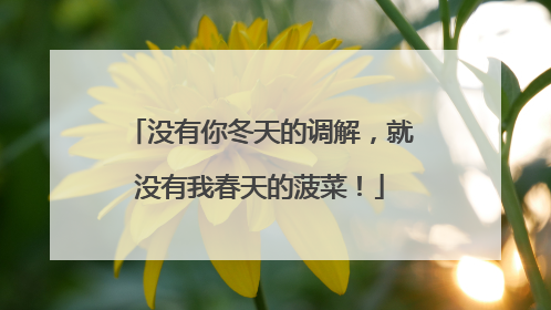 没有你冬天的调解，就没有我春天的菠菜！