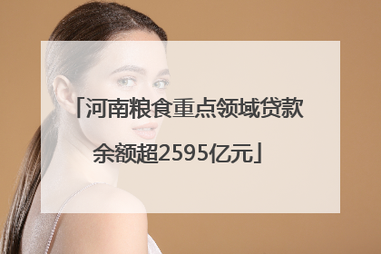 河南粮食重点领域贷款余额超2595亿元
