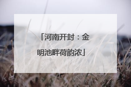 河南开封：金明池畔荷韵浓