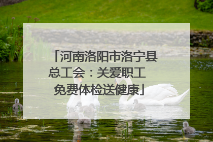 河南洛阳市洛宁县总工会：关爱职工 免费体检送健康