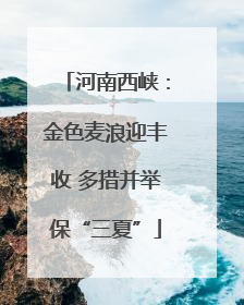 河南西峡：金色麦浪迎丰收 多措并举保“三夏”