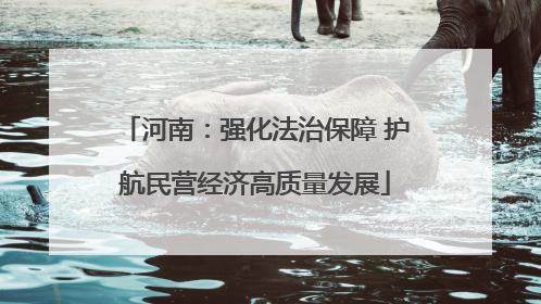 河南：强化法治保障 护航民营经济高质量发展
