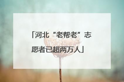 河北“老帮老”志愿者已超两万人