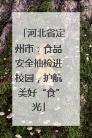 河北省定州市：食品安全抽检进校园，护航美好“食”光