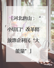 河北唐山：“小切口”改革释放惠企利民“大能量”