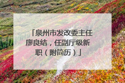泉州市发改委主任廖良结，任副厅级新职（附简历）