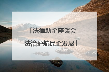 法律助企座谈会 法治护航民企发展