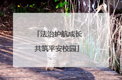 法治护航成长 共筑平安校园