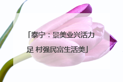 泰宁：景美业兴活力足 村强民富生活美