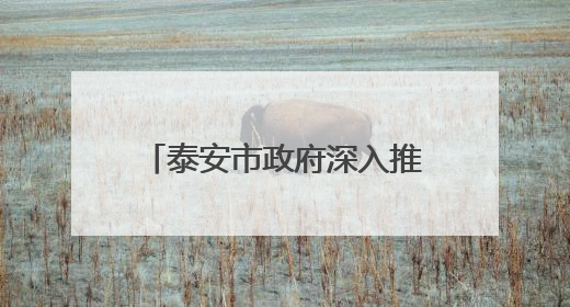 泰安市政府深入推行科技特派员制度