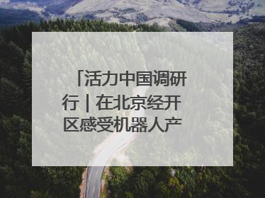 活力中国调研行｜在北京经开区感受机器人产业创新发展