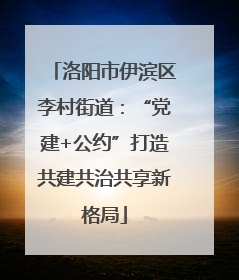 洛阳市伊滨区李村街道：“党建+公约”打造共建共治共享新格局