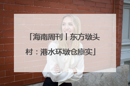 海南周刊丨东方墩头村：港水环墩仓廪实
