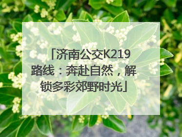 济南公交K219路线：奔赴自然，解锁多彩郊野时光