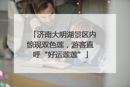济南大明湖景区内惊现双色莲，游客直呼“好运莲莲”