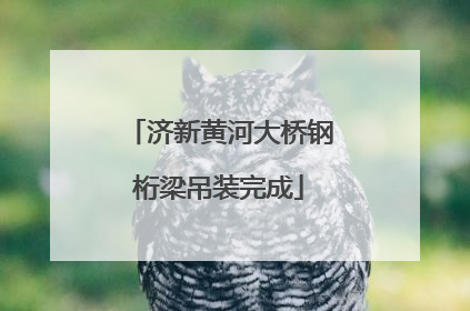 济新黄河大桥钢桁梁吊装完成