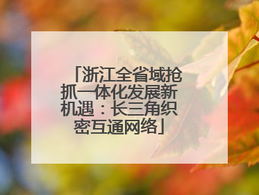 浙江全省域抢抓一体化发展新机遇：长三角织密互通网络