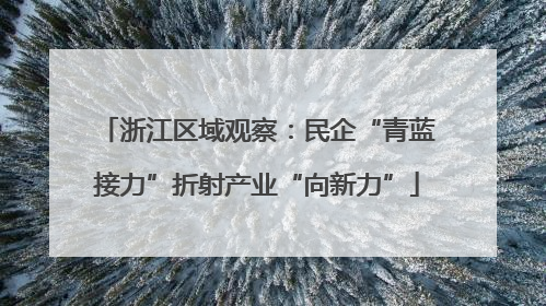 浙江区域观察：民企“青蓝接力”折射产业“向新力”