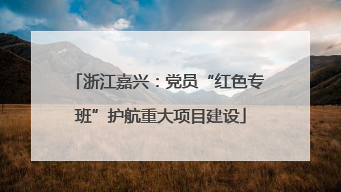 浙江嘉兴：党员“红色专班”护航重大项目建设