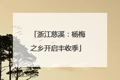 浙江慈溪：杨梅之乡开启丰收季
