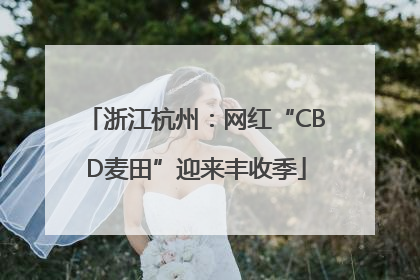 浙江杭州：网红“CBD麦田”迎来丰收季