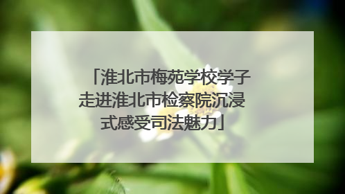 淮北市梅苑学校学子走进淮北市检察院沉浸式感受司法魅力
