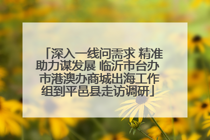 深入一线问需求 精准助力谋发展 临沂市台办 市港澳办商城出海工作组到平邑县走访调研