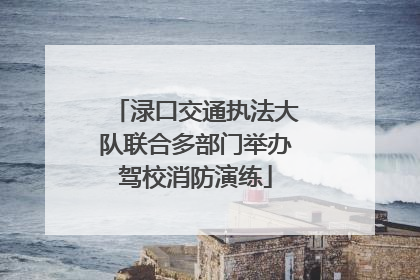 渌口交通执法大队联合多部门举办驾校消防演练