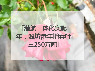 港航一体化实施一年，潍坊港年增吞吐量250万吨