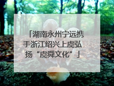 湖南永州宁远携手浙江绍兴上虞弘扬“虞舜文化”