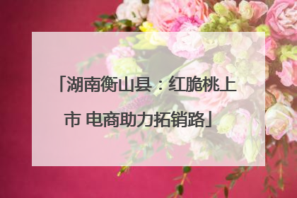 湖南衡山县：红脆桃上市 电商助力拓销路
