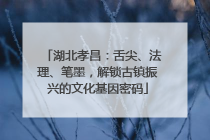 湖北孝昌：舌尖、法理、笔墨，解锁古镇振兴的文化基因密码