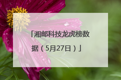 湘邮科技龙虎榜数据（5月27日）