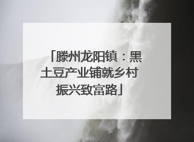 滕州龙阳镇：黑土豆产业铺就乡村振兴致富路