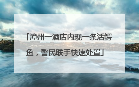 漳州一酒店内现一条活鳄鱼，警民联手快速处置
