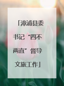 漳浦县委书记“四不两直”督导文旅工作