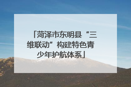 菏泽市东明县“三维联动”构建特色青少年护航体系