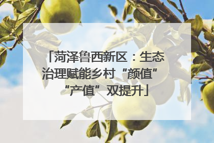 菏泽鲁西新区：生态治理赋能乡村“颜值”“产值”双提升