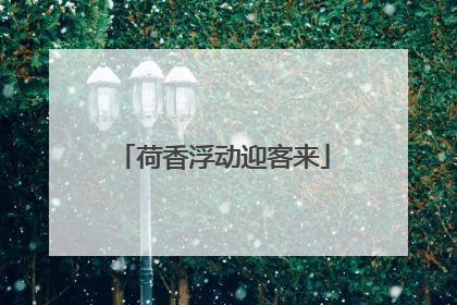 荷香浮动迎客来