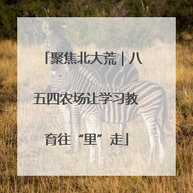 聚焦北大荒｜八五四农场让学习教育往“里”走