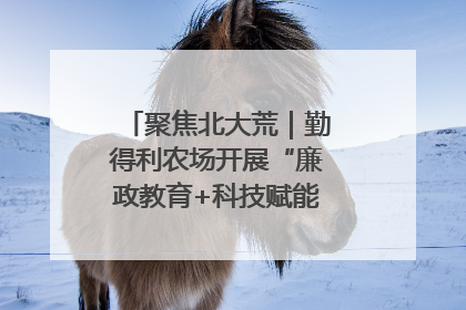 聚焦北大荒｜勤得利农场开展“廉政教育+科技赋能”主题党日活动