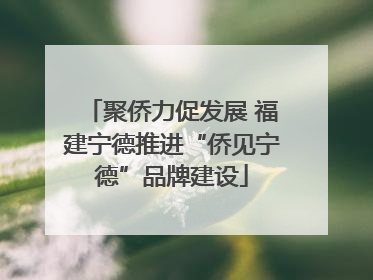 聚侨力促发展 福建宁德推进“侨见宁德”品牌建设