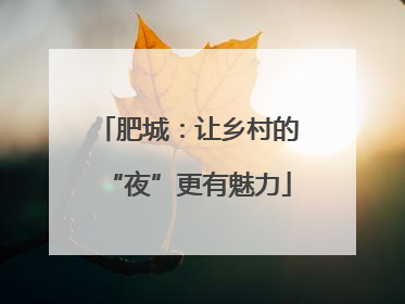 肥城：让乡村的“夜”更有魅力