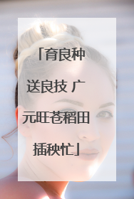育良种 送良技 广元旺苍稻田插秧忙