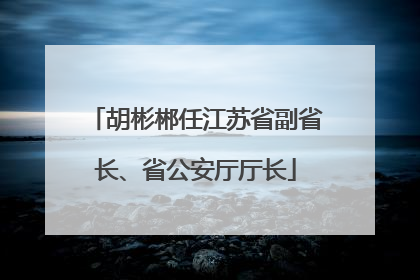 胡彬郴任江苏省副省长、省公安厅厅长