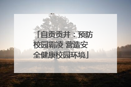 自贡贡井：预防校园霸凌 营造安全健康校园环境