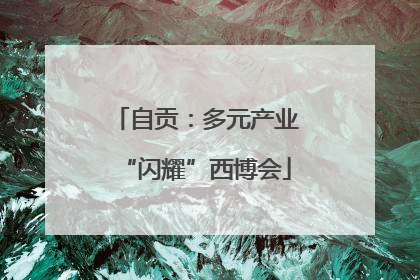 自贡：多元产业“闪耀”西博会