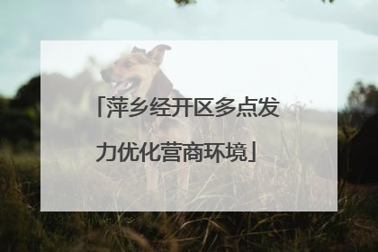 萍乡经开区多点发力优化营商环境